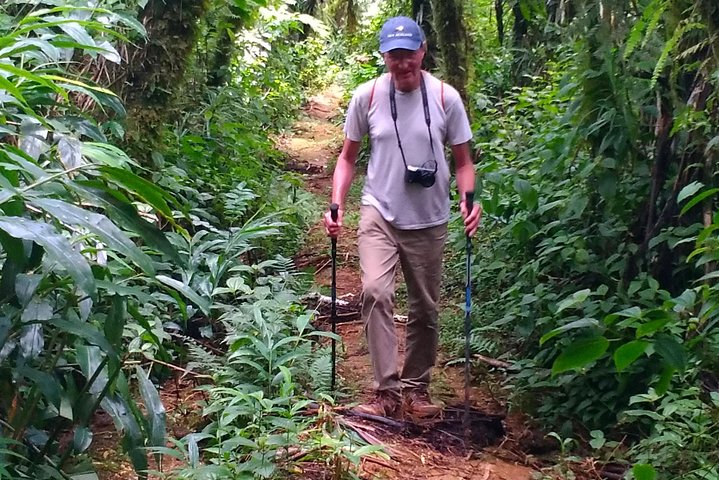 A man with hiking poles  on a muddy flat section of the trail to Lake Lanoto'o Samoa.