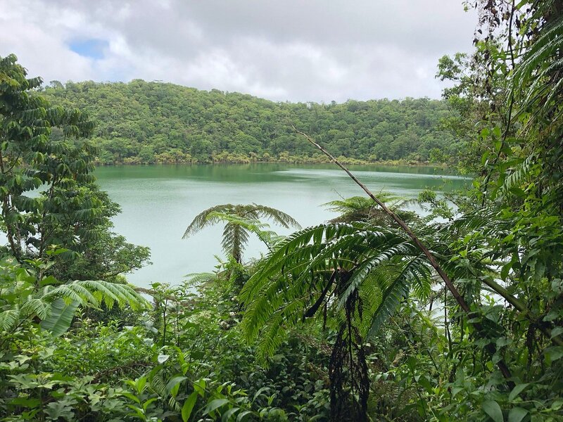 A partial view of the water at Lake Lanoto'o Samoa, through dense rainforest.